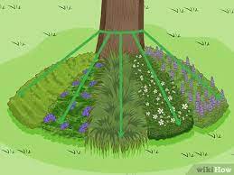 Tree roots with ground covered with moss in forest. 3 Ways To Deal With Exposed Tree Roots Wikihow