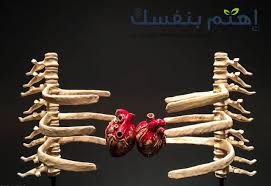 أعراض هشاشة العظام الأسباب و الوقاية و العلاج إهتم بنفسك Ihtambnafsak Com