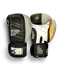Alexis davis 135 lbs matt frevola vs. Modern Day Gladiator Brad Quake Riddell Boxing Gloves Engage