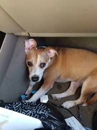 Check spelling or type a new query. Https Imgur Com Gallery Oenipm1 Daily Https Imgur Com G7hqrmr Jpg 2018 05 30t18 00 09 819z Https Imgur Com Gallery Ea2azkq Daily Https Imgur Com Qhl60oy Jpg Miquelleto El Gato Obsessing Over My Friend S Smell Bagheera Is Apparently Not