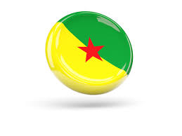 You are free to use them in your websites, software and mobile apps. Shiny Round Icon Illustration Of Flag Of French Guiana