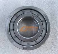 192311E Transfer Case Intermediate Shaft Gearbox Bearing ...