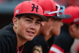 PHOTOS: Hiland wins back-to-back OHSAA baseball titles