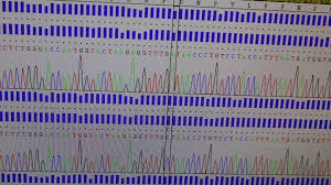 Mis à jour le 7 juillet. Covid 19 Trois Cas Averes De Variant Indien Dans La Region Nouvelle Aquitaine