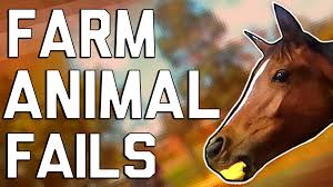 The best gifs are on giphy. Hilarious Farm Animal Fails January 2017 Failarmy Video Dailymotion