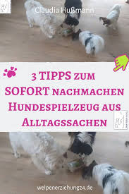 Quick Tipp Hundespielzeug Aus Alltagsgegenstanden Welpenerziehung Hundespielzeug Hunde Hundespielzeug Selber Machen
