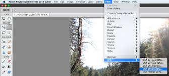 The filter gallery is grayed out in photoshop cs6 when none of the filters can be used on the open image. Using On1 Effects 2019 With Adobe Photoshop Elements On1 Support