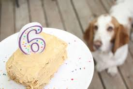 Beat together the bananas and butter until creamy. Birthday Boy Meals Moves Dog Cakes Dog Birthday Cake Dog Food Recipes