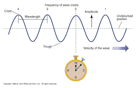What is the highest point of a transverse wave called? Nats S02 12
