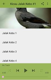 Maybe you would like to learn more about one of these? Kicau Jalak Kebo Gacor Pikat For Android Apk Download