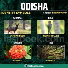 It is made up of 28 states and 8 union territories. List Of Symbols Of States And Union Territories Of India