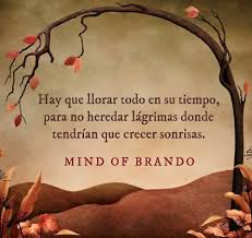 Hay Que Llorar Todo En Su Tiempo Para No Heredar Lagrimas Donde Tendrian Que Crecer Sonrisas Lucas Hugo Gue Frases Bonitas Frases Sabias Frases Espirituales