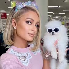 Meet Paris Hilton's fur kids!