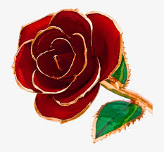 Home products about us testimonials contact us marketing & pricing about us the 24 karat rose co. 24k Gold Dipped Roses Gold Dipped Roses Steven Singer Png Image Transparent Png Free Download On Seekpng