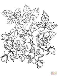 Roses Flowers Coloring Page Free Printable Coloring Pages Detailed Coloring Pages Rose Coloring Pages Printable Flower Coloring Pages