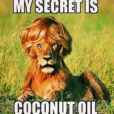 Canola Oil Vs Olive Oil Vs Vegetable Oil Vs Coconut Oil Funny Animal Jokes Funny Dog Memes Funny Animal Quotes