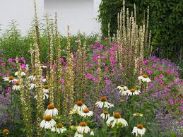 Pin Von Holly Jewell Auf English Garden Privatgarten Garten Landschaftsarchitektur
