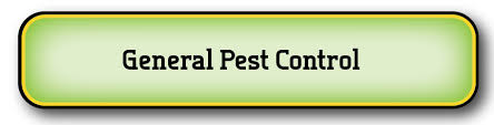 Gc pest control is your local and trusted pest control and termite management company. Pest Control We Make Your Home A Better Place