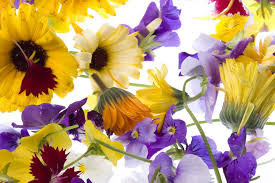 Services for the delivery of flowers — map locations, addresses, contact details, photos, reviews and ratings. Saucy Dressings Guide To Edible Flowers Tried Supplied