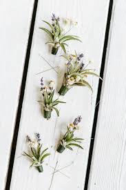 Choose the flowers you want to use for your boutonniere. Diy Boutonnieres Using Dried Flowers Diy Wedding