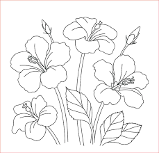 Cara menggambar flora,fauna,dan alam benda. Gambar Bunga Yg Mudah Di Gambar