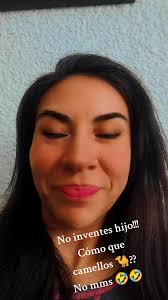 Como Que Camello Zoológico Original