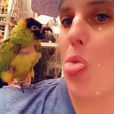 It's not nice to stick your tongue 😛 out at people Toot. 😂😛 #toot  #sundaynights #conure #parrot #nandayconure #funnybird