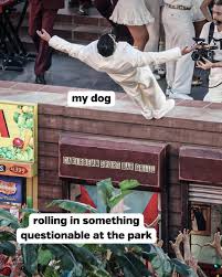 Image result for Recreation Pets Dogs Humor