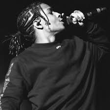 There is a range of braided hairstyles which are the dreads, cornrows, guy braids along with the french braids. Asap Rocky Braids How To Get Hair Like Rocky Braids Atoz Hairstyles