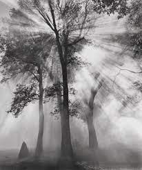 Ansel Adams A Example For The Art Call Seeing The Land Landscape Photography 7 575 In Cash Black And White Landscape Ansel Adams White Photography