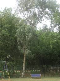 The house, built in 1840, was the residence of the whaling captain ezra cook. Guest House Steel Town Karachi Mapio Net