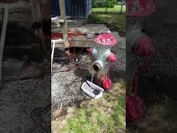 Please read our fire hydrant usage policies and fees. Fire Hydrant Water Feature Youtube