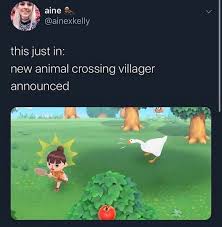 Your island in animal crossing: 120 Funniest Animal Crossing Memes The Ultimate Collection Fandomspot