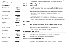 contoh resume nursing students best