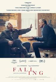 Noun a precipitous drop from a height, or from a higher to a lower position, which is often accompanied by injuries. Falling 2020 Filmaffinity