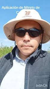 Aplicación de Nitrato de Calcio en Cerezas Chilenas