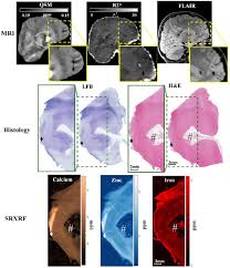 0 by 0 users runtime : The Hantus Full Movie Free Download