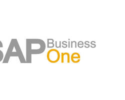SAP Business One accounting software logo