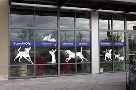 Window Graphics And Lettering Squared Off Designs Window Graphics Pet Store Ideas Pets