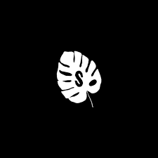 Snapseed Black Icon App Logo Icon Snapseed