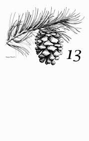 Summer Wood New Mexico Author Of Raising Wrecker News Tree Drawing Christmas Tree Drawing Wood Burning Art