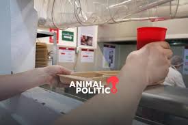 Cárcel de CDMX dará cena especial de tres tiempos para detenidos por manejar alcoholizados