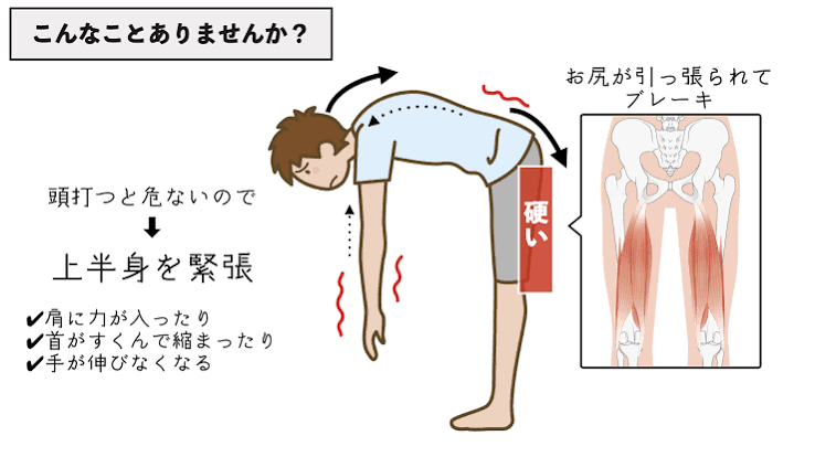 前屈】タイプに合わせた体の使い方で前屈しやすくする | バレエダンサーさんの治療院
