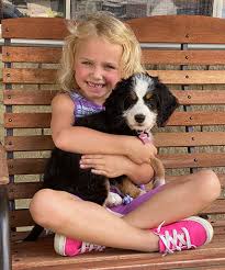 Costs can vary and depend on factors such as the breeder's location, the money. About Bernedoodles Walnut Valley Puppies