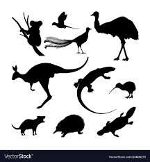 Set Of Black Silhouettes Of Australian Animals Kangaroo Koala And Emu On A White Background Vector Illustration Australian Animals Animals Animal Silhouette