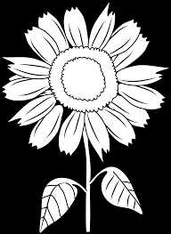 Check spelling or type a new query. Pretty Sunflower Coloring Page Sunflower Png Transparent Black 4668x6382 Wallpaper Teahub Io
