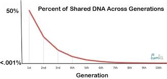 How much genetic material do you share with your biological relatives? How Much Dna Do Family Members Share With Cousin Relationship Chart Famlii