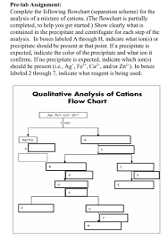 Solved I Have To Complete This Chart For My Pre Lab Can