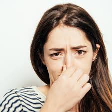 Hamilelikte Artan Koku Hassasiyeti Icin Cozum Onerileri Gebe Com