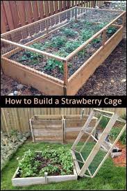 Making A Vegetable Garden Vegetable Garden Beds Home Vegetable Garden Diy Raised Garden